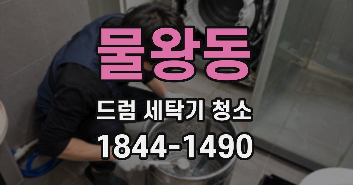 물왕동 드럼 세탁기 청소
