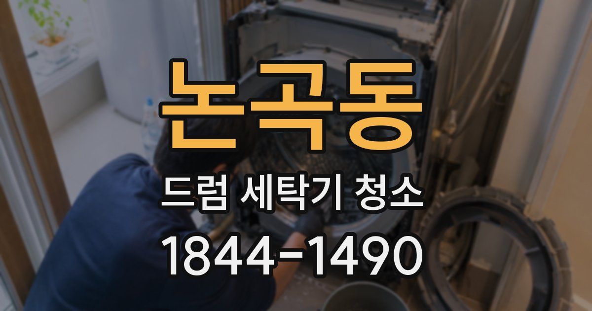 논곡동 드럼 세탁기 청소