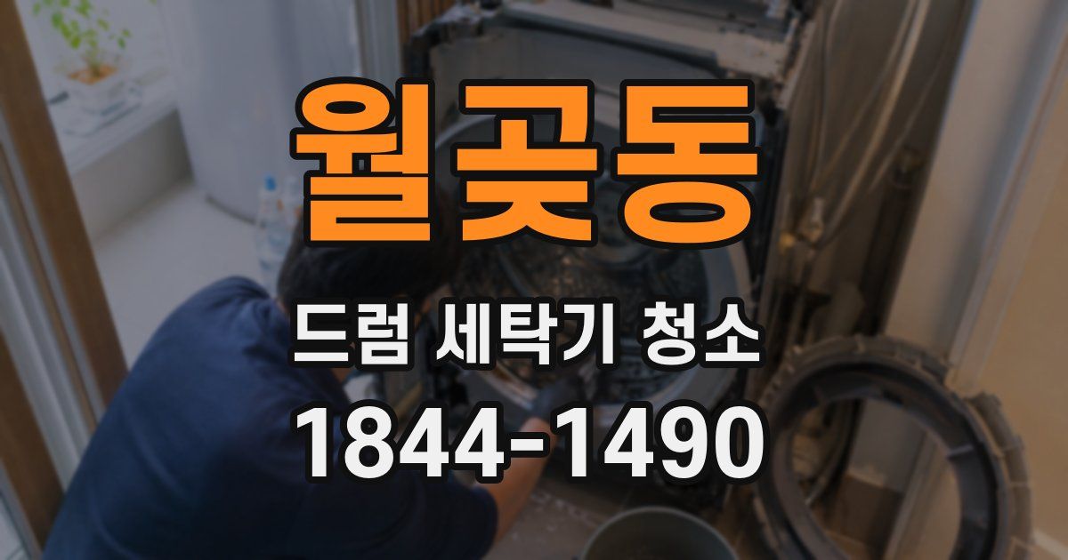 월곶동 드럼 세탁기 청소