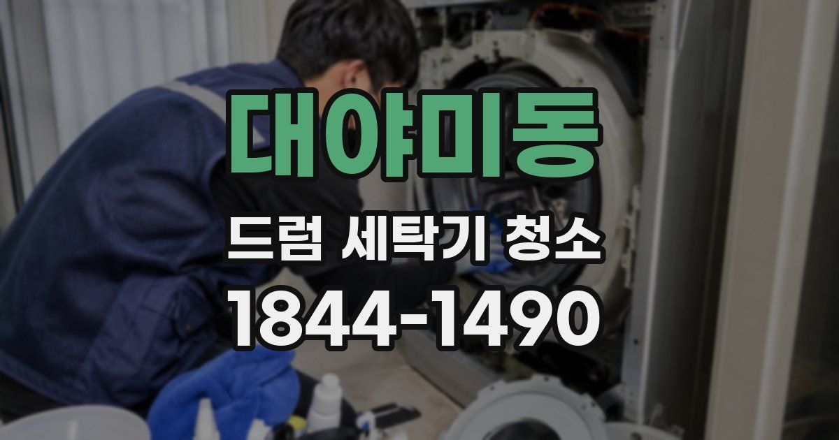 대야미동 드럼 세탁기 청소