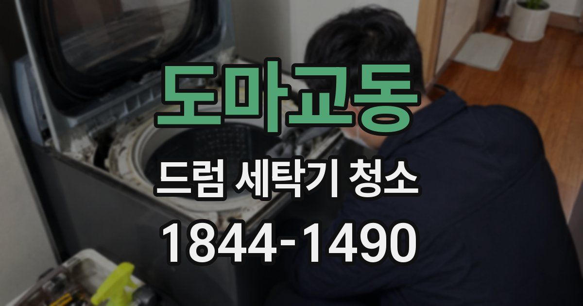 도마교동 드럼 세탁기 청소