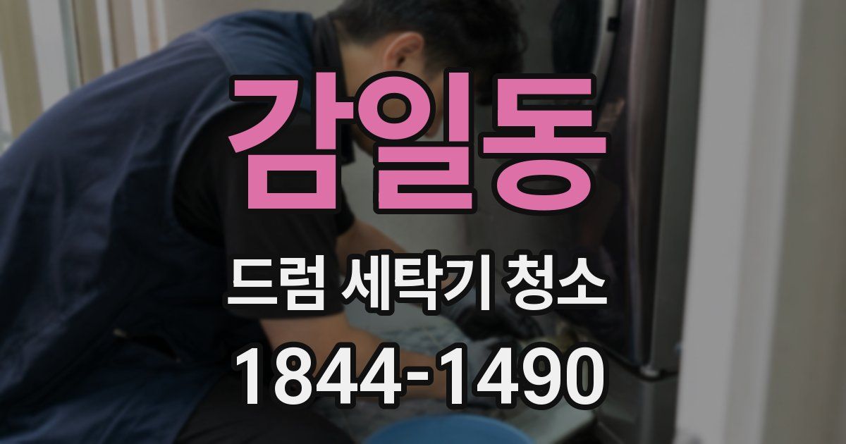 감일동 드럼 세탁기 청소