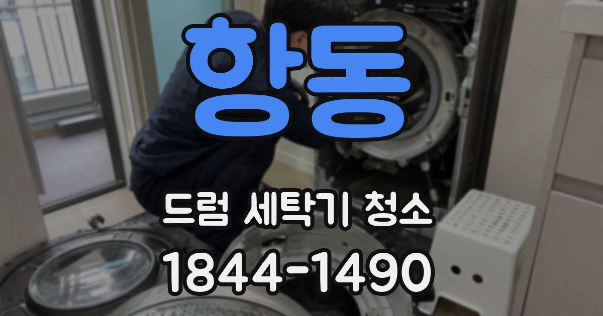 항동 드럼 세탁기 청소