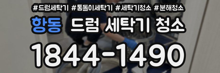 항동 드럼 세탁기 청소