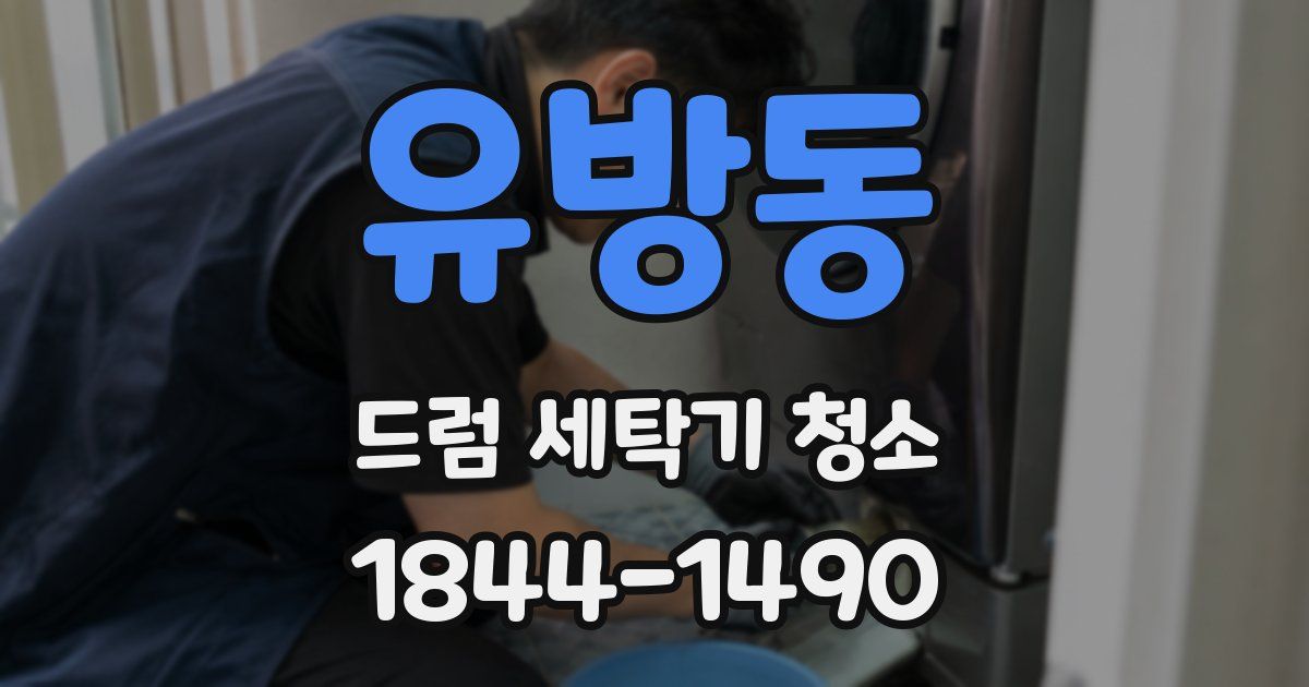 유방동 드럼 세탁기 청소