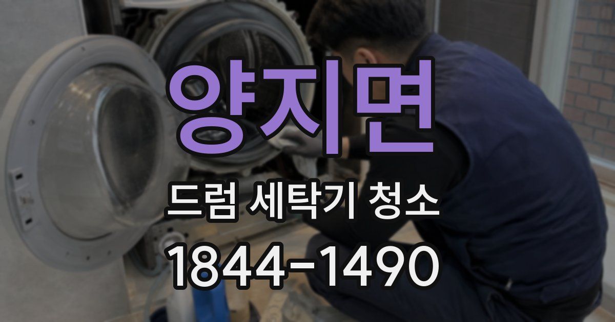 양지면 드럼 세탁기 청소