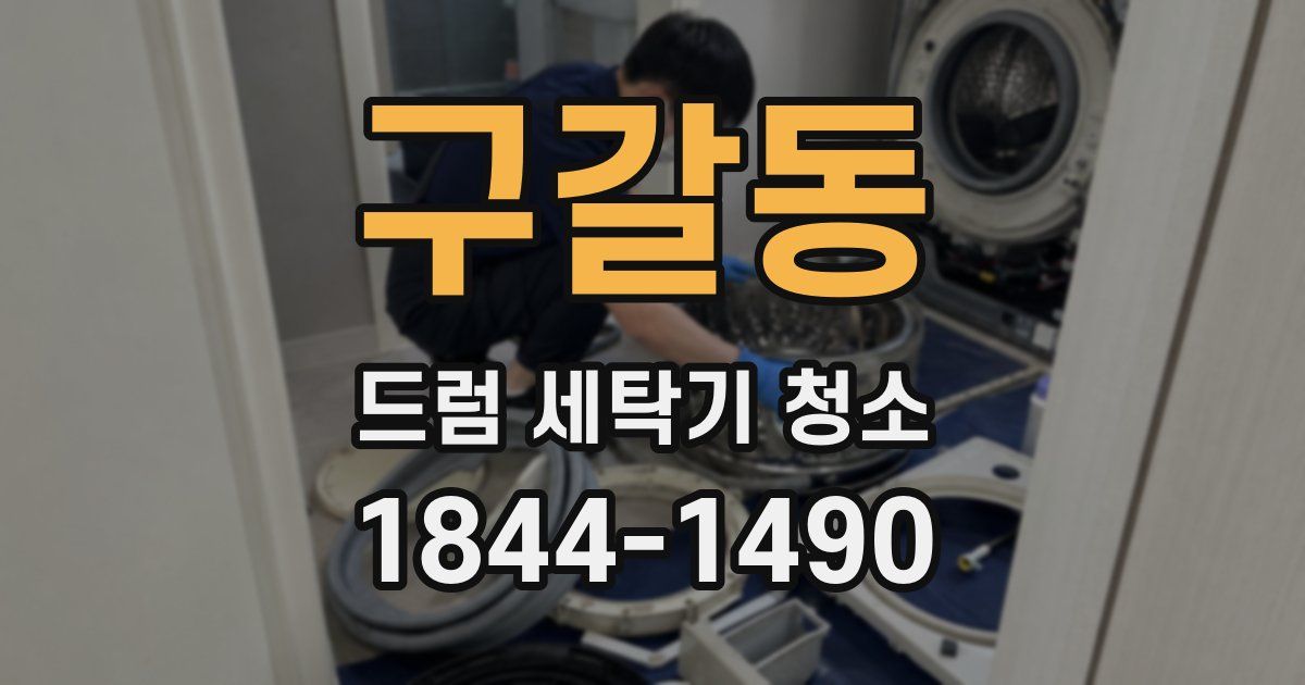 구갈동 드럼 세탁기 청소