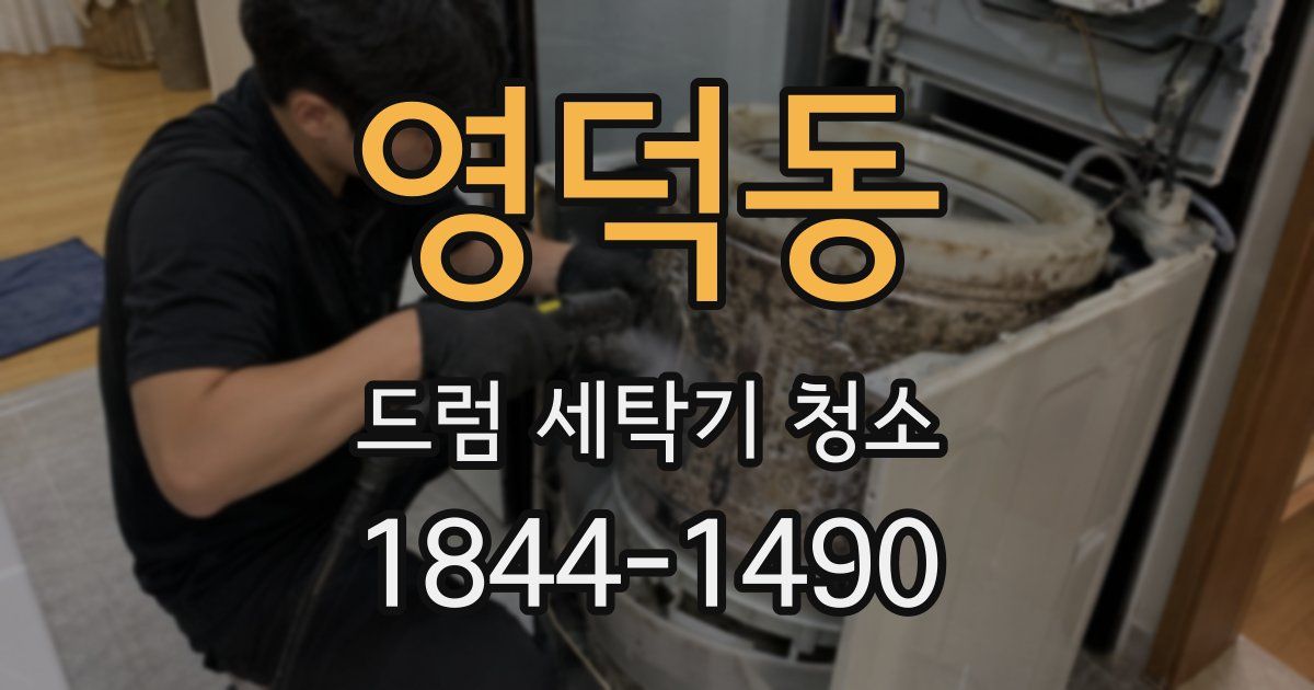 영덕동 드럼 세탁기 청소