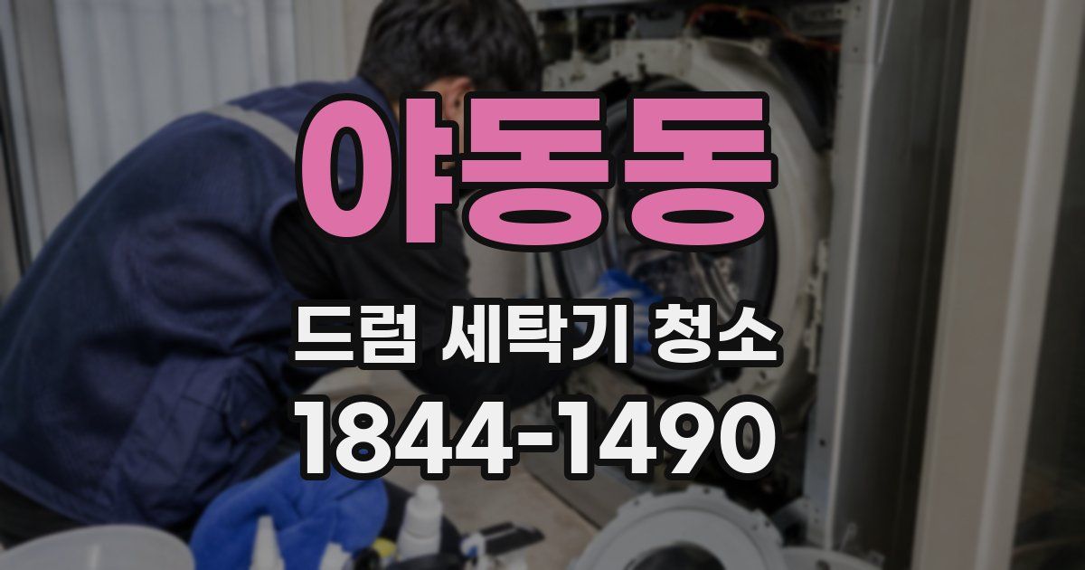 야동동 드럼 세탁기 청소