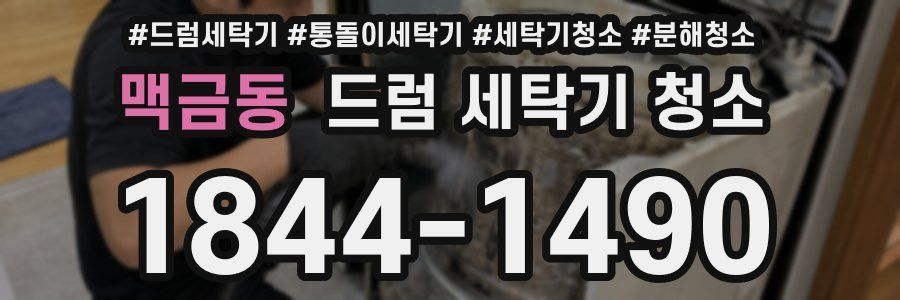 맥금동 드럼 세탁기 청소