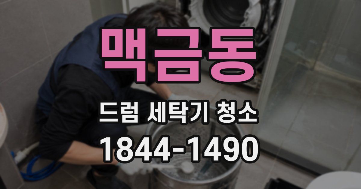 맥금동 드럼 세탁기 청소