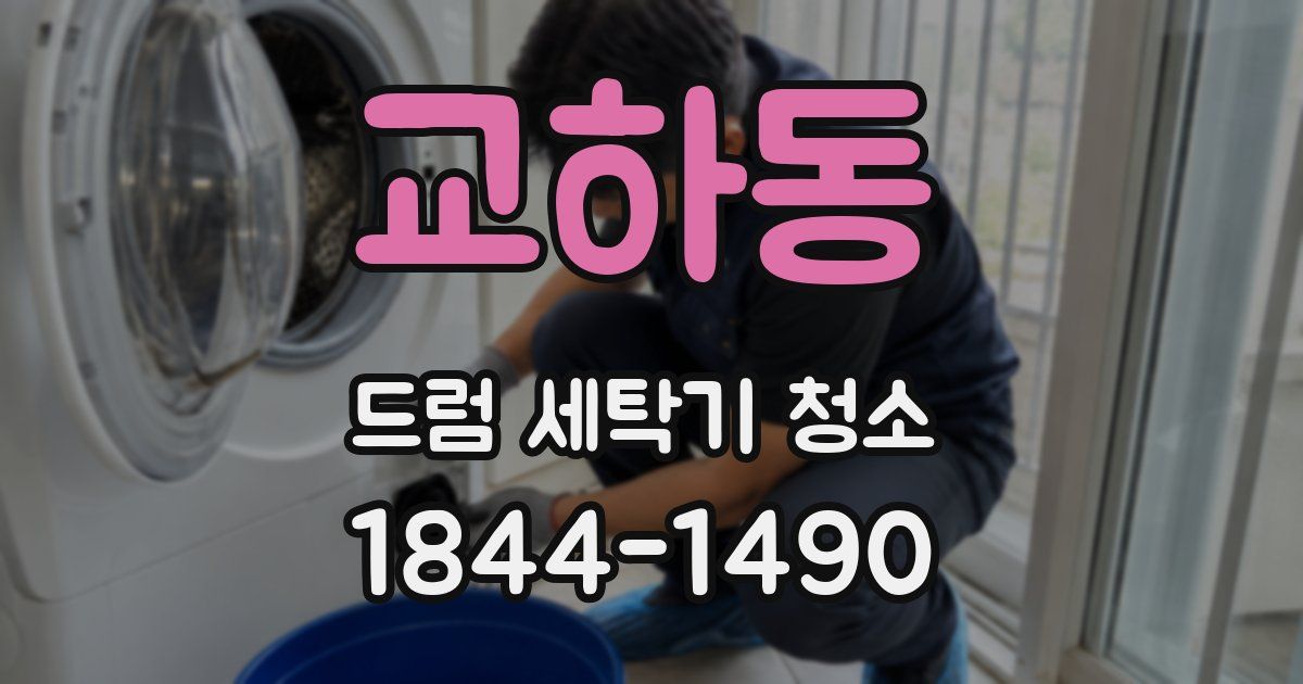 교하동 드럼 세탁기 청소