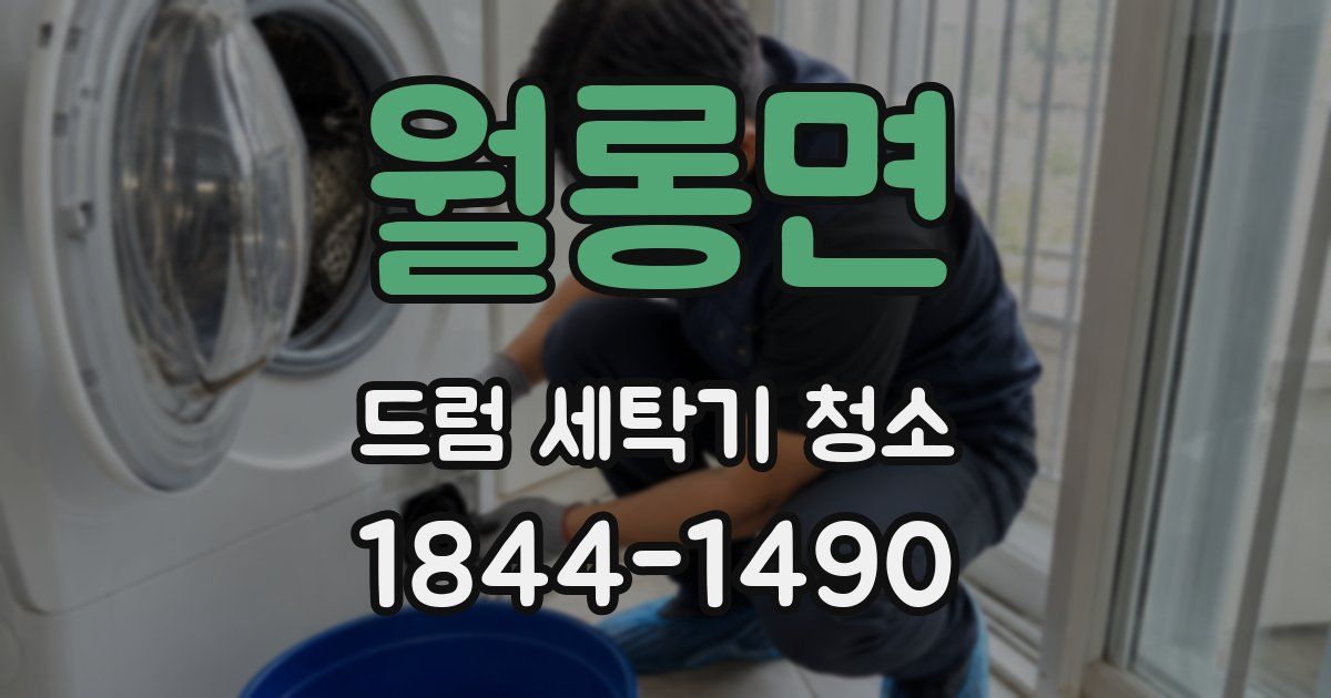 월롱면 드럼 세탁기 청소