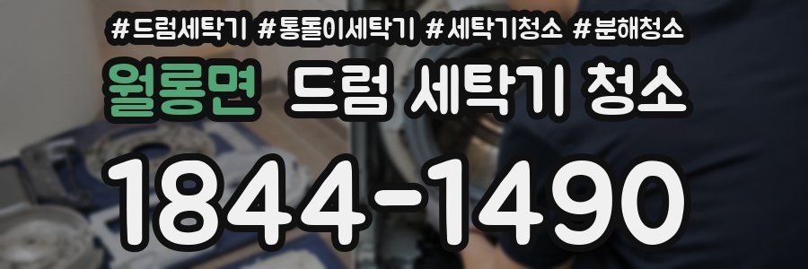 월롱면 드럼 세탁기 청소
