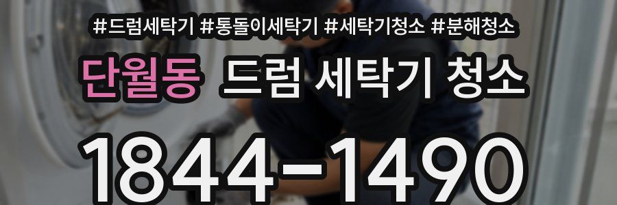 단월동 드럼 세탁기 청소