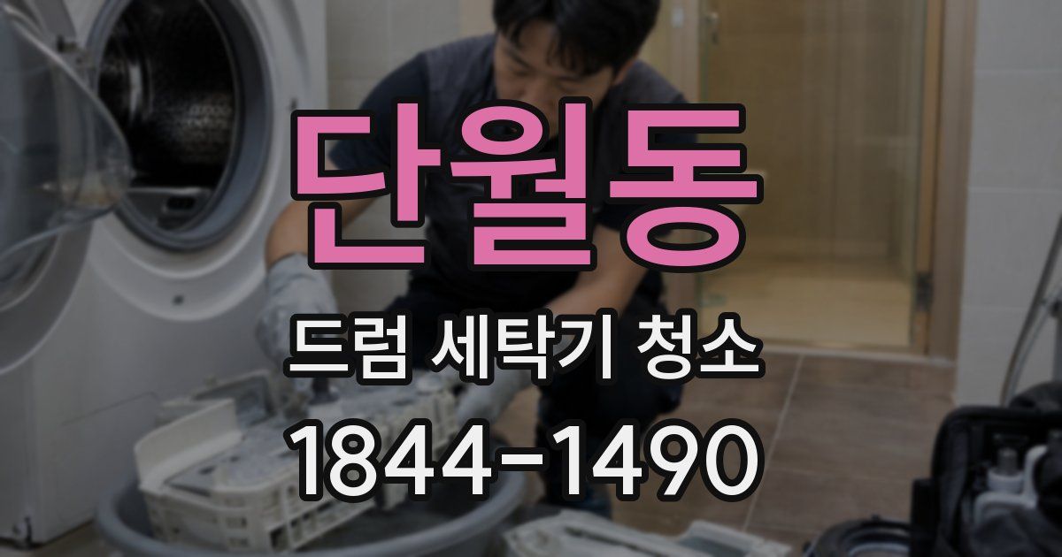 단월동 드럼 세탁기 청소