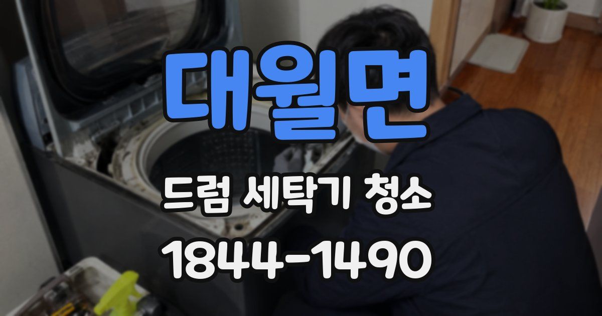 대월면 드럼 세탁기 청소