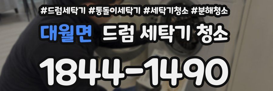 대월면 드럼 세탁기 청소