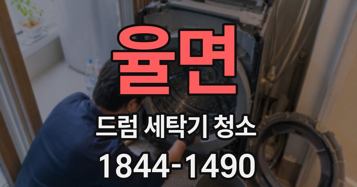 율면 드럼 세탁기 청소