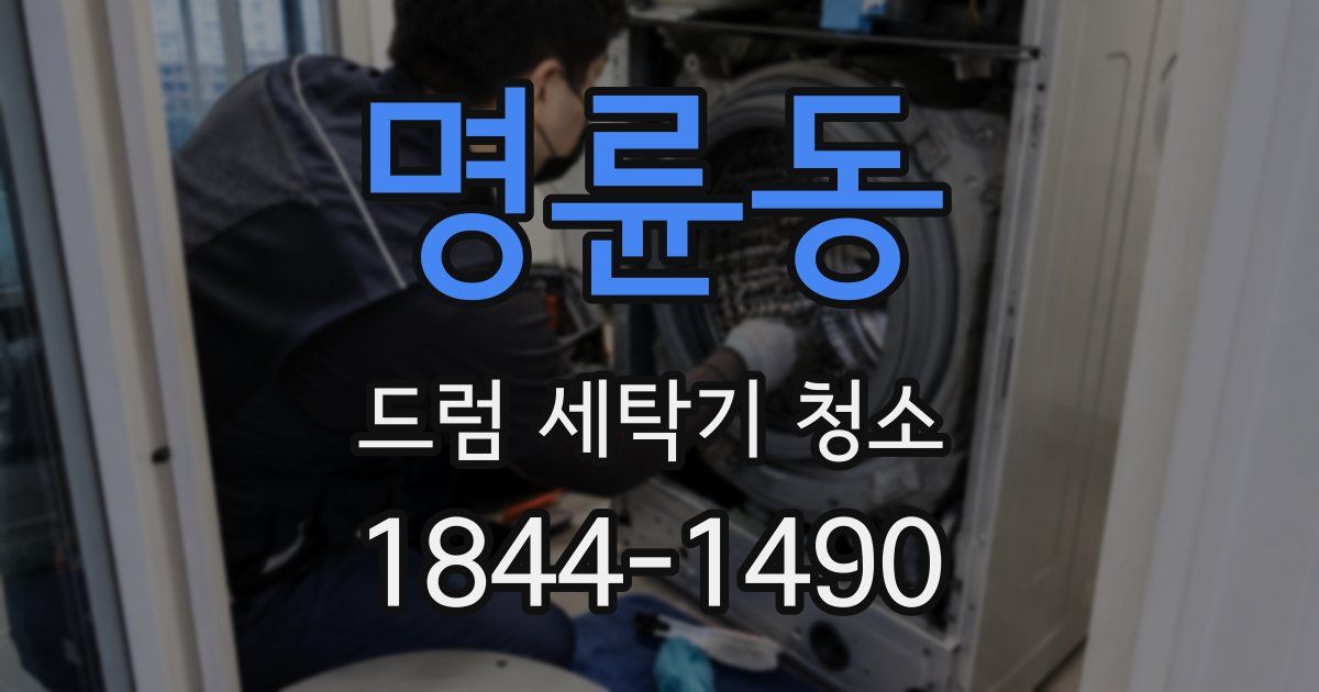 명륜동 드럼 세탁기 청소