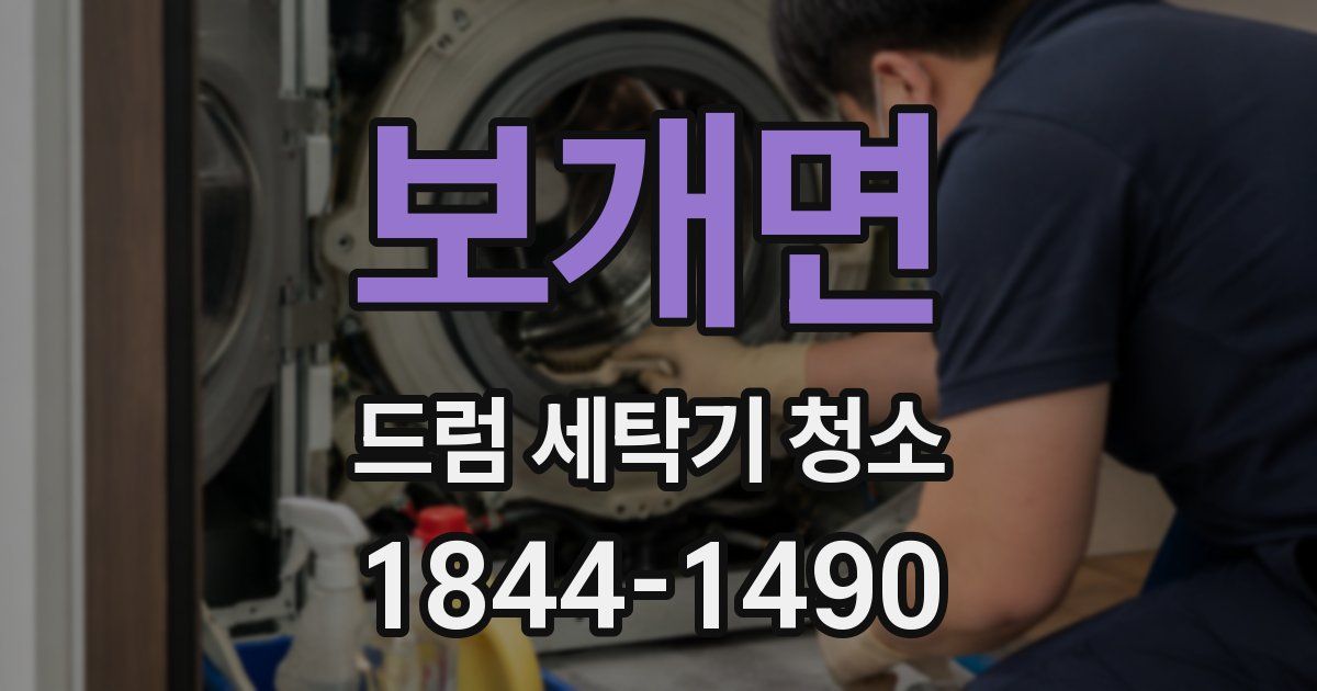 보개면 드럼 세탁기 청소