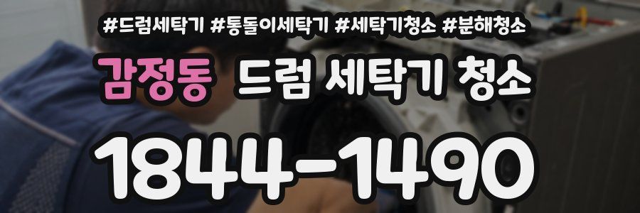 감정동 드럼 세탁기 청소
