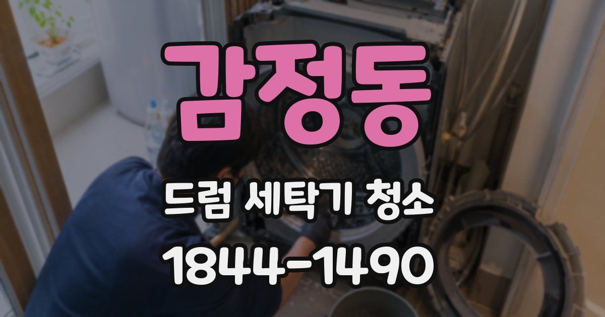 감정동 드럼 세탁기 청소