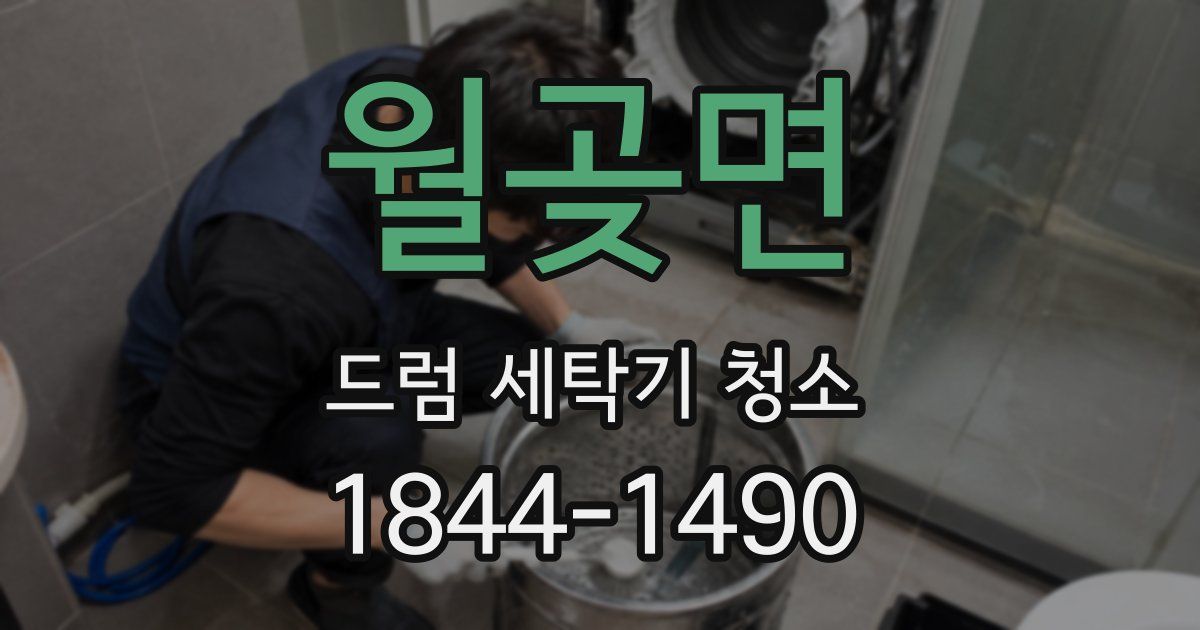 월곶면 드럼 세탁기 청소