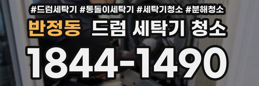 반정동 드럼 세탁기 청소