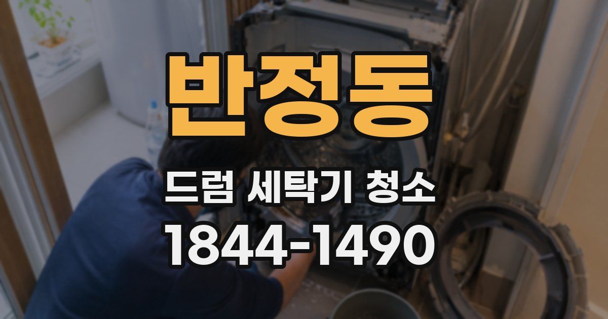 반정동 드럼 세탁기 청소