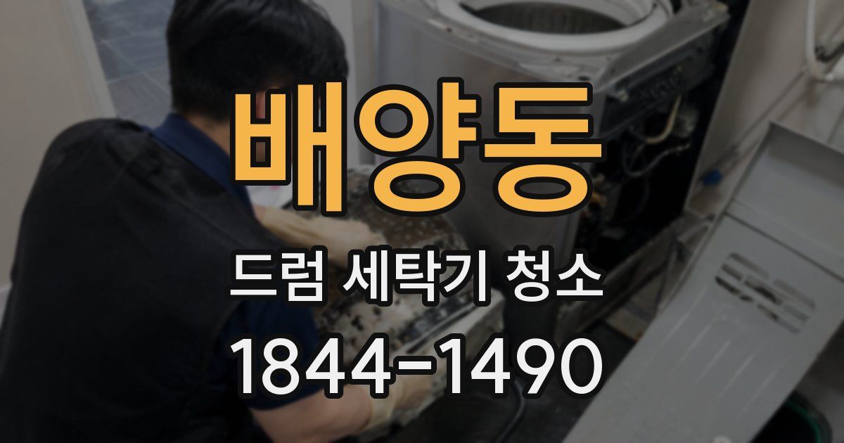 배양동 드럼 세탁기 청소