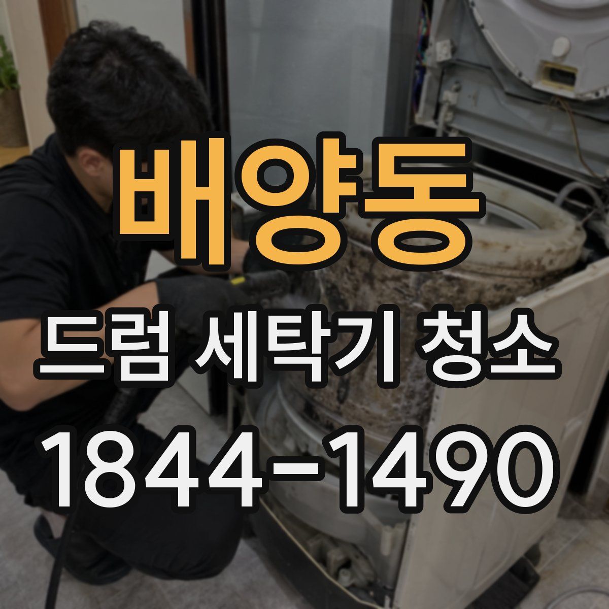 배양동 드럼 세탁기 청소