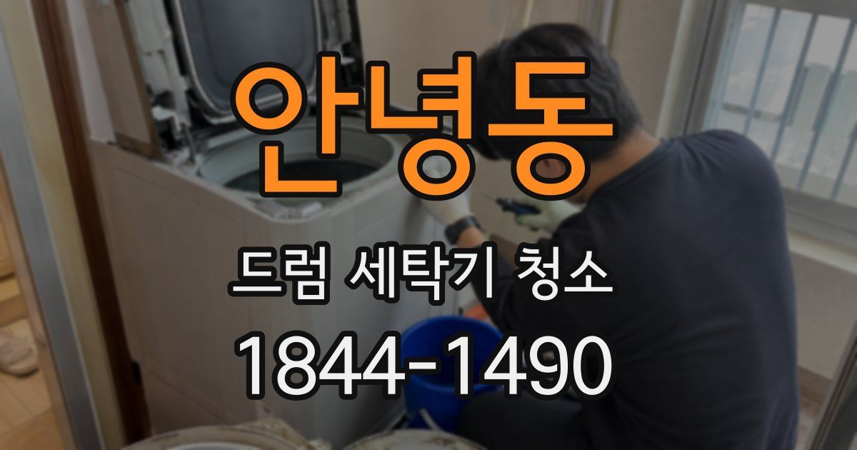 안녕동 드럼 세탁기 청소
