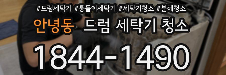 안녕동 드럼 세탁기 청소