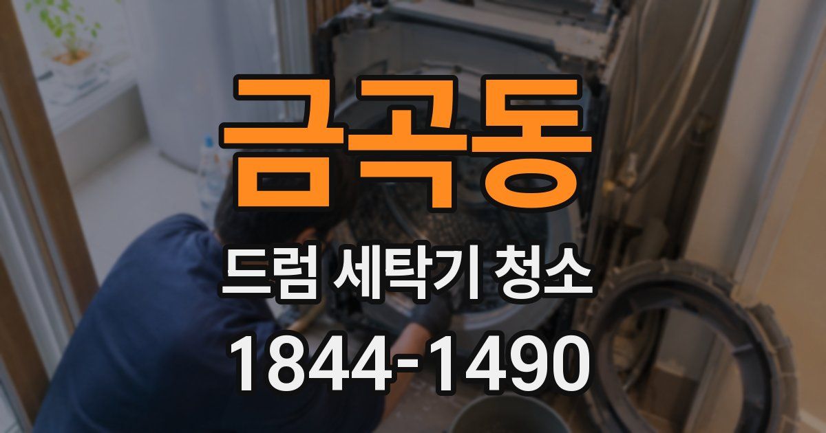금곡동 드럼 세탁기 청소
