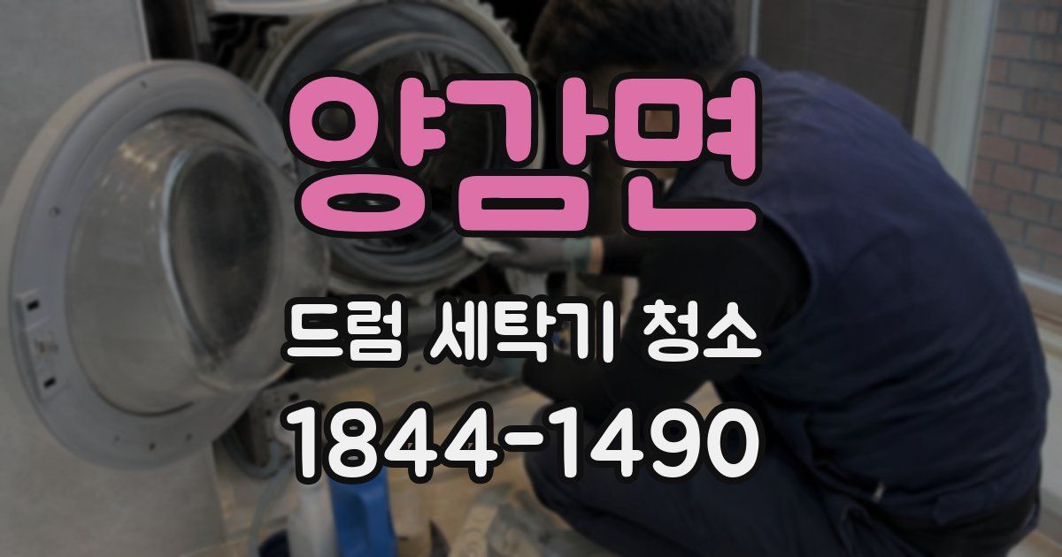 양감면 드럼 세탁기 청소