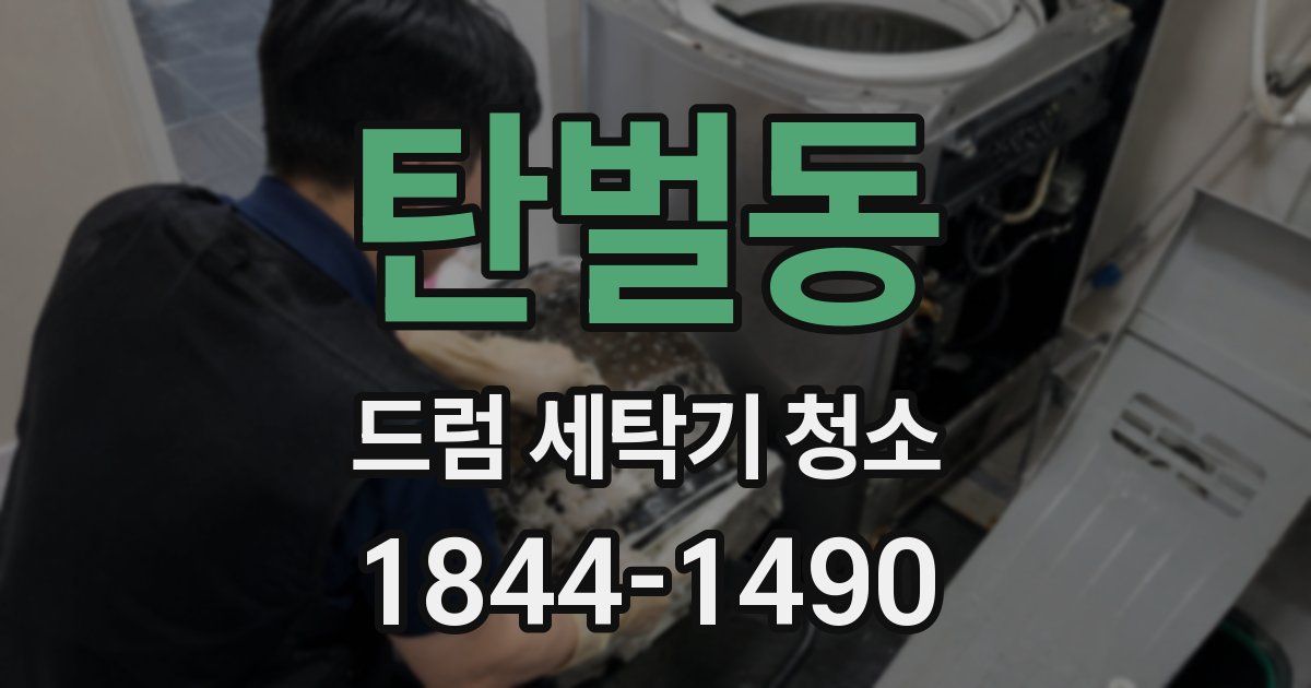 탄벌동 드럼 세탁기 청소