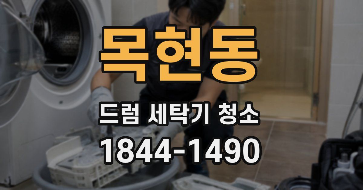 목현동 드럼 세탁기 청소