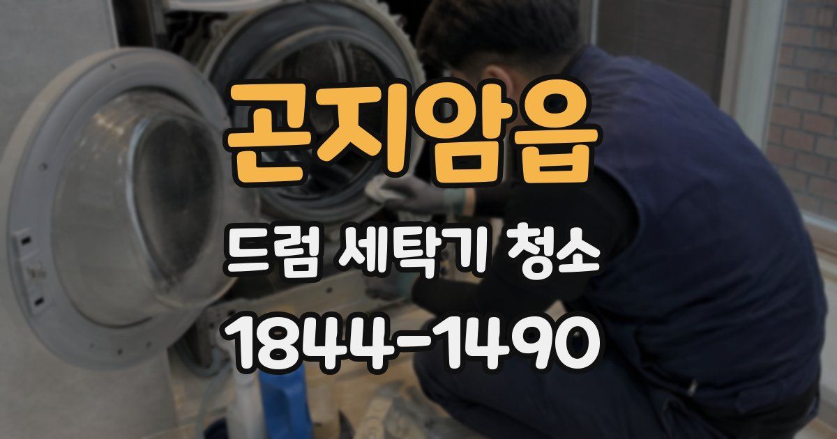곤지암읍 드럼 세탁기 청소