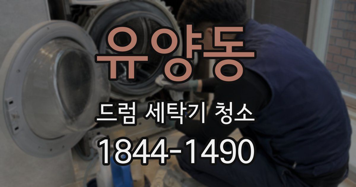 유양동 드럼 세탁기 청소