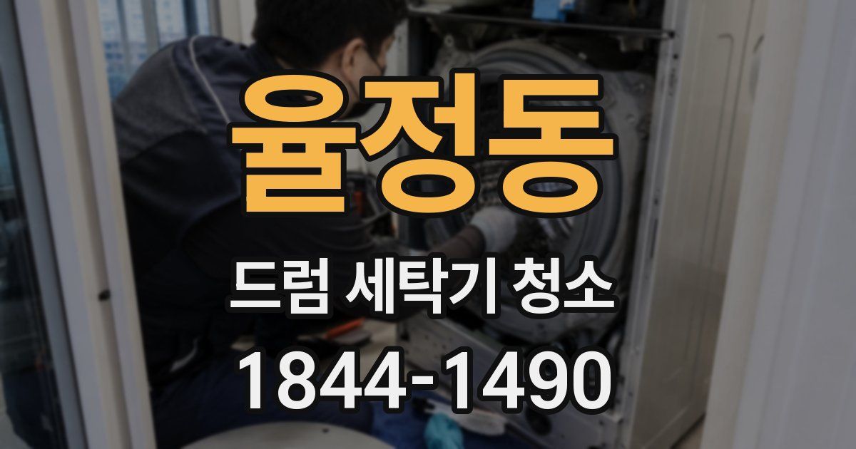 율정동 드럼 세탁기 청소