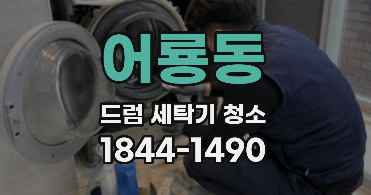 어룡동 드럼 세탁기 청소