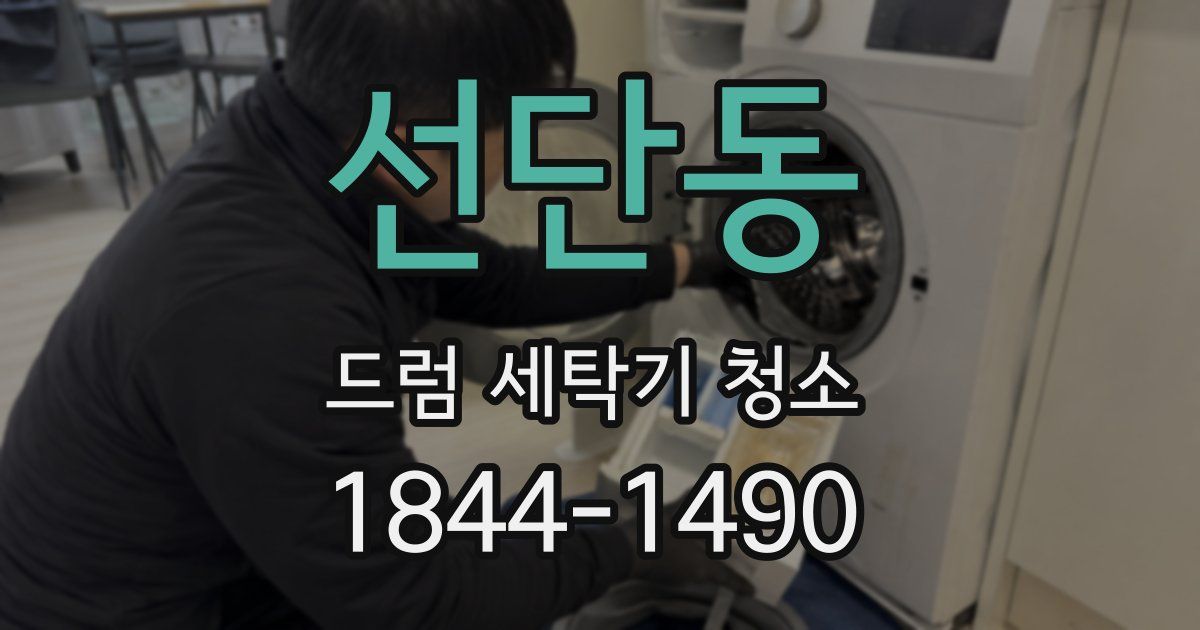 선단동 드럼 세탁기 청소