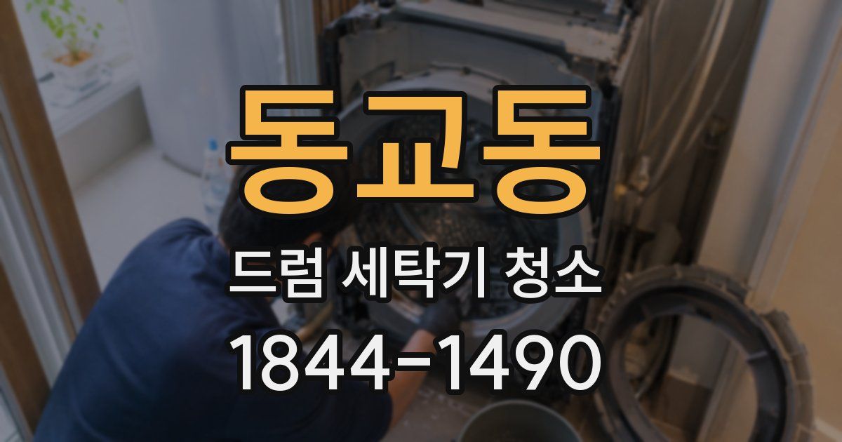 동교동 드럼 세탁기 청소