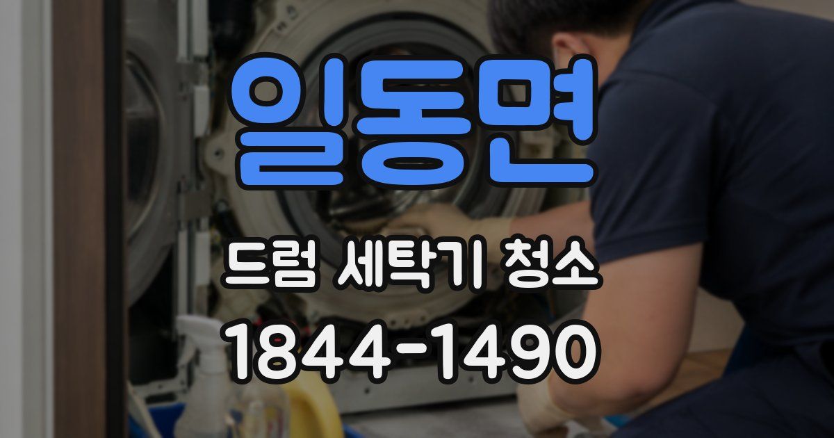 일동면 드럼 세탁기 청소