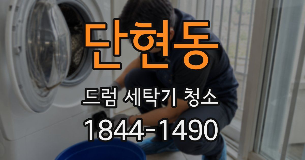 단현동 드럼 세탁기 청소