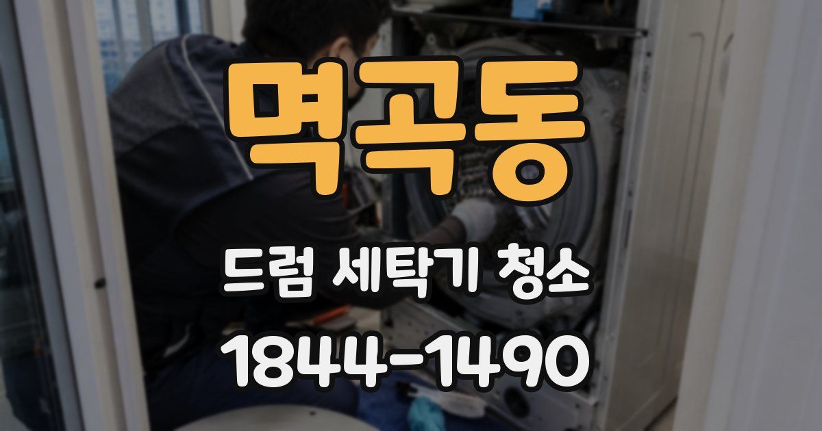 멱곡동 드럼 세탁기 청소