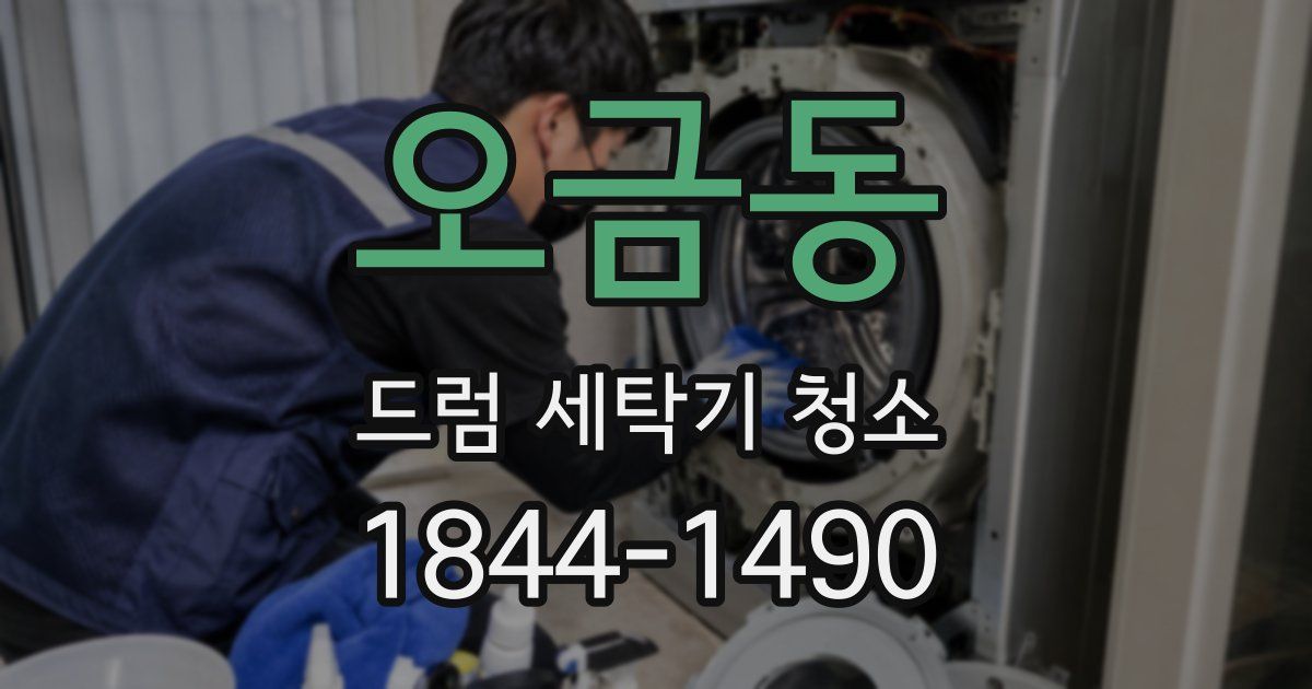 오금동 드럼 세탁기 청소