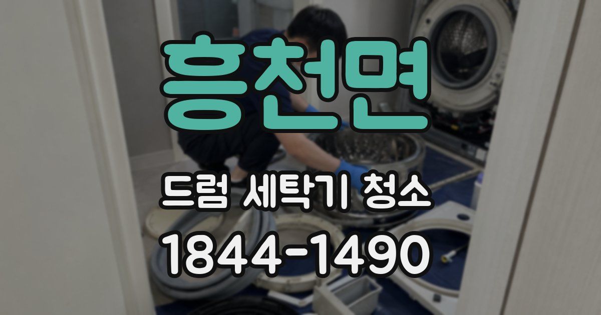 흥천면 드럼 세탁기 청소