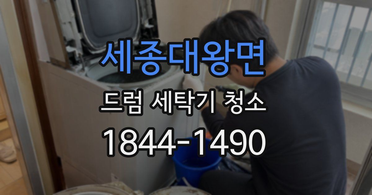 세종대왕면 드럼 세탁기 청소